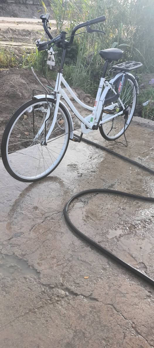 للبيع لاسكل بيدي مديل 2022 كفاله عامه اللون ابيض الشراي خاص والمو شراي لايتعبني السعر 145 قفل قفل 🔒


**إذا كنت صاحب هذا الإعلان وتريد حذفه لأي سبب، رجاءا أرسل رسالة إلى الدعم الفني**