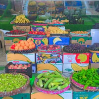 مسواك درجه اولى • توصيل راوه • ٥/٧/٢٠٢٦