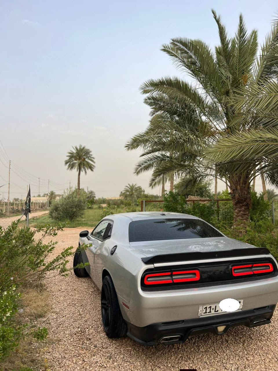للبيع أو مراوس إخواني
السلام عليكم ورحمه الله وبركاته 

جالنجر موديل 2022 محرك 6 سلندر 3.6 
بدون اي ايرباكات..

سياره نظيفة جدآ ماشيه 42 الف رقم بغداد الدولي هزه وسنوية جديد 

مكينه كير تبريد صدر كله مكفول بدون شواصي بدون لغود بدون تكم بدون قماره بدون دواخل ..ثلاث قطع بيها فقط ثنين كلير ووحده ضرر عليها بنيد SRT وويل أيضا سياره حلوه وبدون اي نقوصات 

تفاصيل اكثر متواجد خاص 

مكان تواجد السياره بابل مشروع المسيب 

رقمي بي واتس آب أيضا..

السعر 174 وبيها مجال أن شاء الله


**إذا كنت صاحب هذا الإعلان وتريد حذفه لأي سبب، رجاءا أرسل رسالة إلى الدعم الفني**