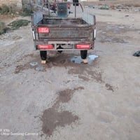 ستوته • موديل ١٥ • اوراق كامله