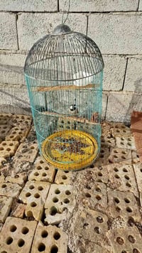 اقفاص • سعر خاص • للبيع