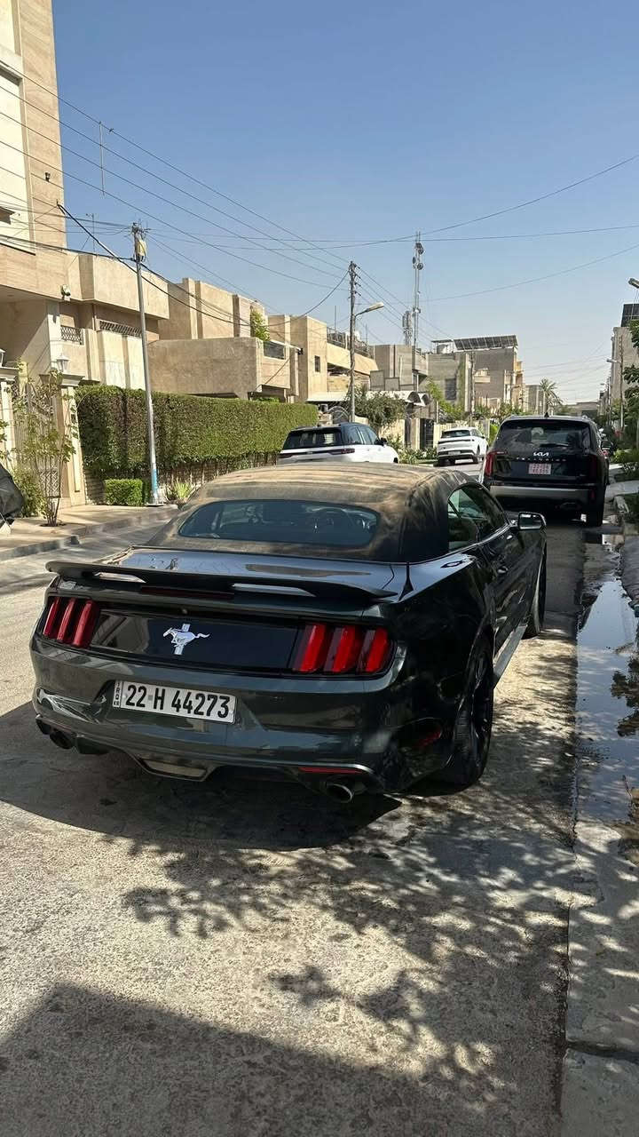 السلام عليكم
*فورد موستنك 2015 كشف 
*محرك v6 3700 
*ماشية 135 ميل
*لون زيتوني طوخ مميز 
*السيارة داخلة كلين وهنا صار بيها جاملغ امامي صبغ وشوية بالبنيد وكم مكان بارد صورة السونار موجودة 
* رقم اربيل باسمي تحويل بشرط سنوية لحد 2028
*شاشة sync 3 اصلية مال تفصيخ وتحكماتها كلها شغالة مودات القيادة والستيرن 
*عليها منظومة لايت زينون
*جناح شيلبي
*دبل بصمة تشغيل عن بعد 
السيارة نظيفة ومصروف عليها هواي ونصبتها بالحقيقة احلى من الصور  
السعر 130 وبيها مجال 
مكانها بغداد السيدية 
‏‭***********‬
