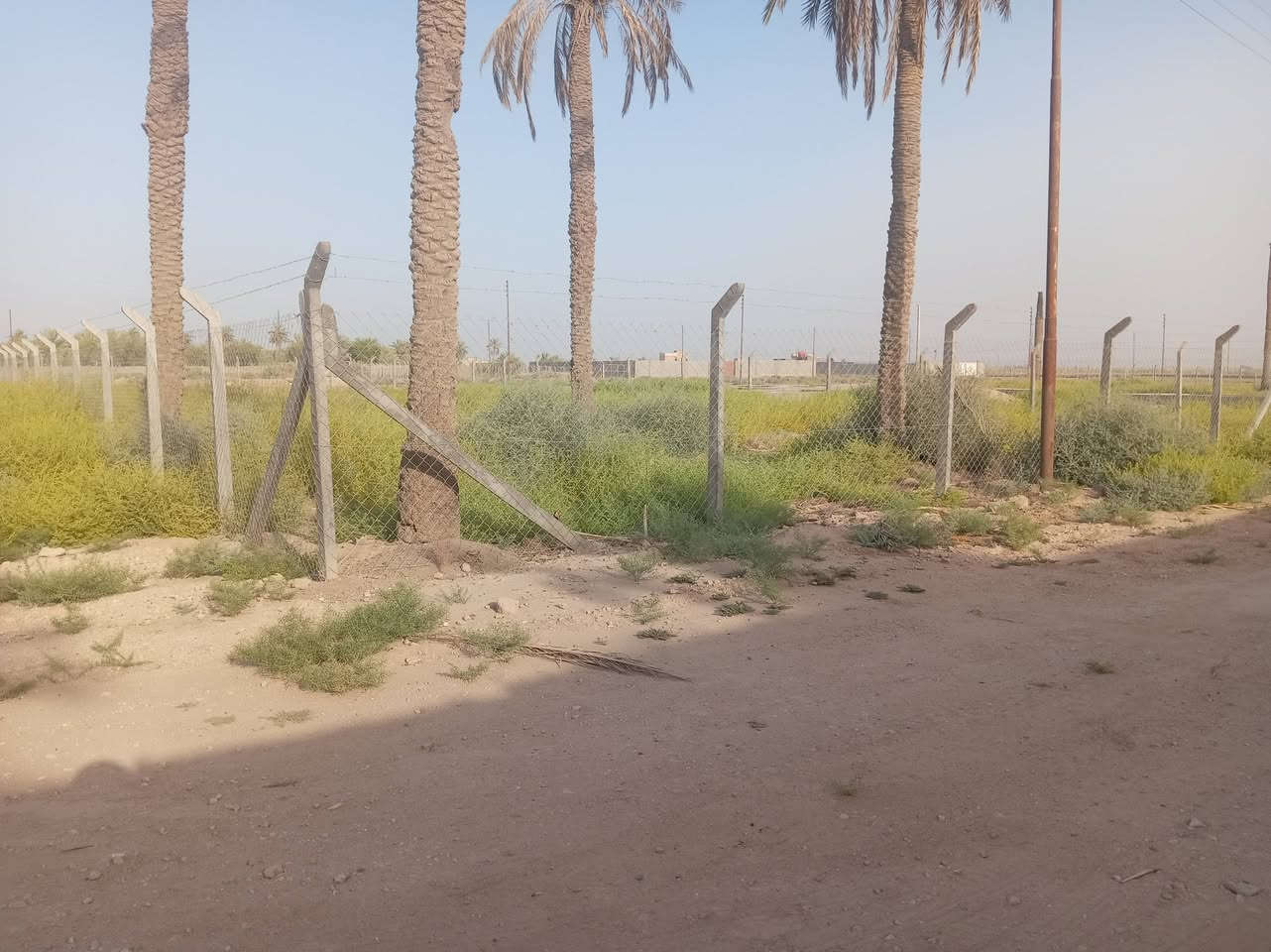 السلام عليكم نص دونم طابو اسهم تحويل المساحه ١١٥٠ على ٣شوارع ركن بستان ومتوفرماء كهرباء وبوري ماي باب البستان على طريق السفينه خلف ثانويت الواثق
***********
