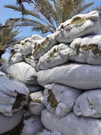 تبن • حصد جديد • بابل الحمزه الغربي