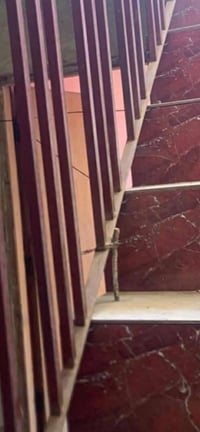 محجل • طول ٢٦٨ • للبيع