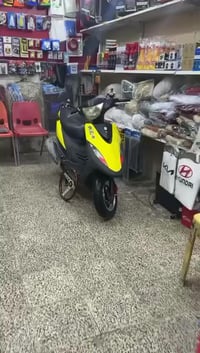 ماكس عدلة • نضيفه • زنون