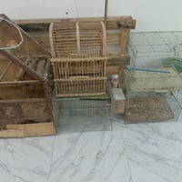 اقفاص ايراني • قفس هرمي • موصل حي الصديق