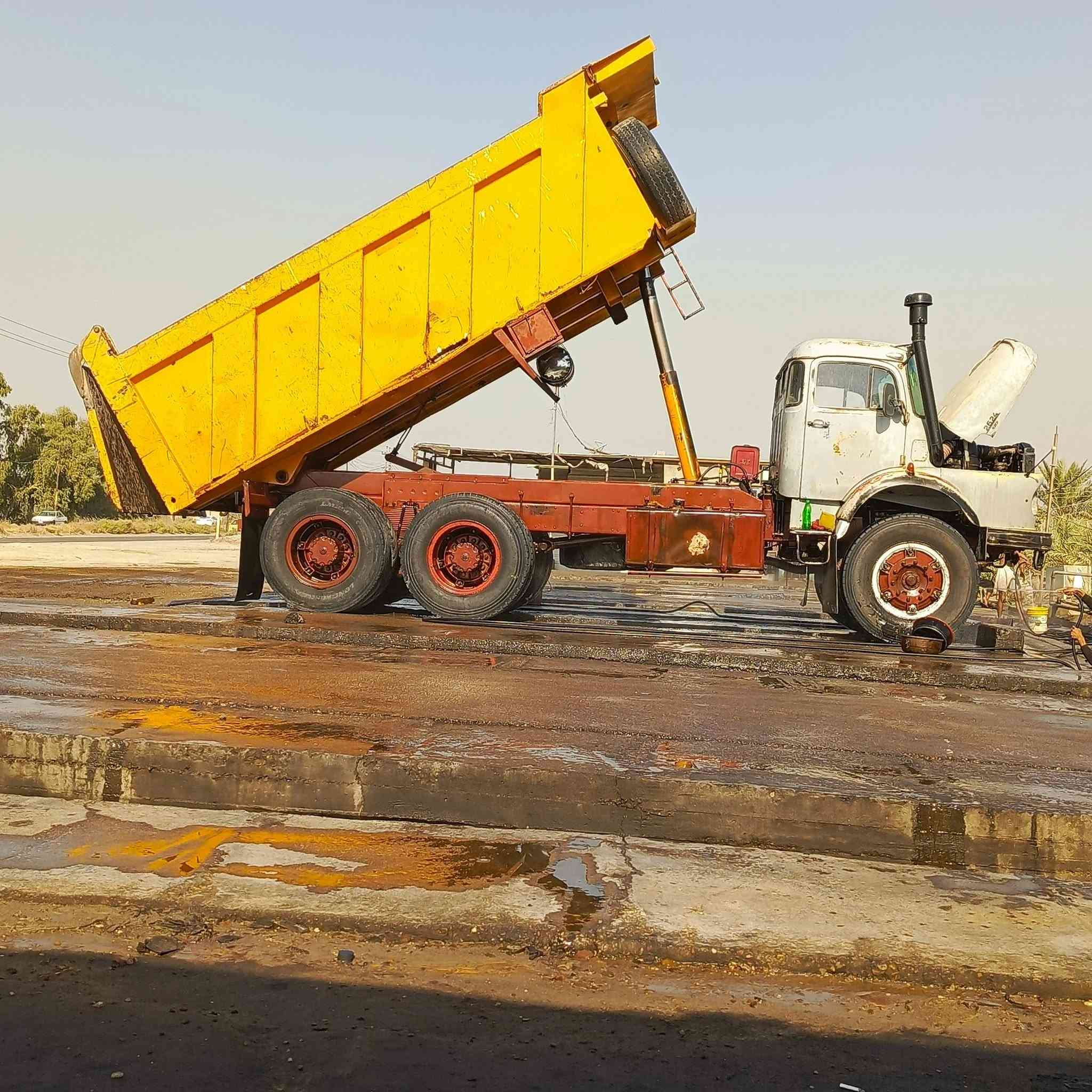 للبيع مايلر 81.   ***********     ***********
