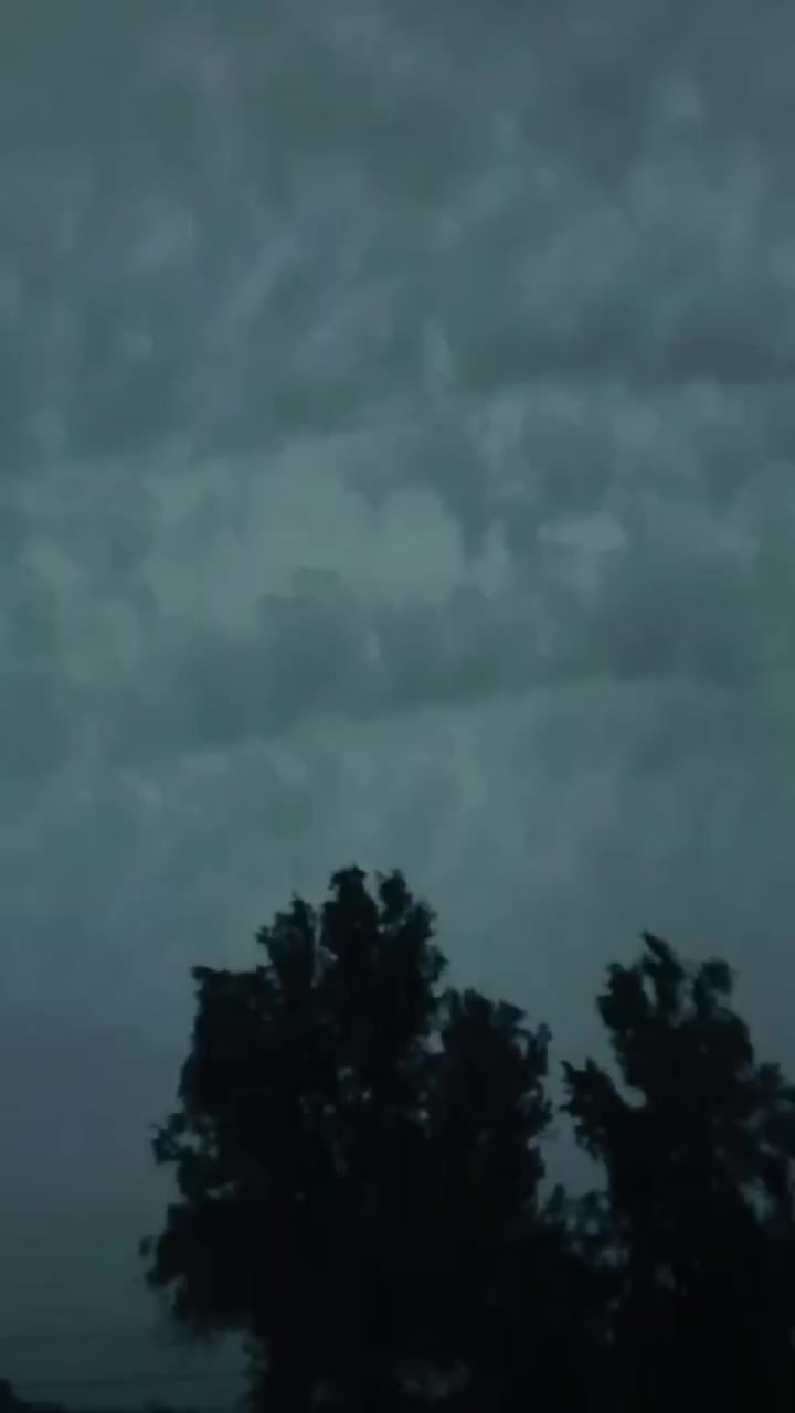 سلام عليكم دراجه بواليس البيع دراجه كفاله عامه دراجه صاله شهر من طالعه حاويه سعره مليون هذا رقمي تصل وبيك خير وتدلل ***********مكاني سكندريه لاسكان
