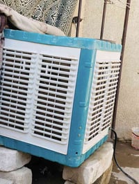 مبردة • استخدام شهرين • كويريش الربيع