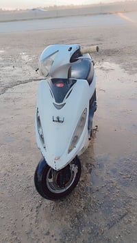 مانقصه كلشي ولا مجفته ولا كايمه للبيع 550 وبيه مجال 07803667149 هذا رق...