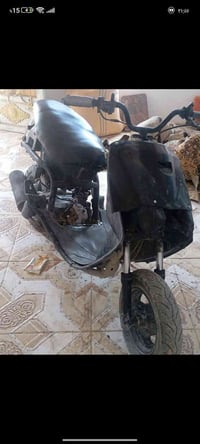 فراشه • شغاله • بصره خور الزبير