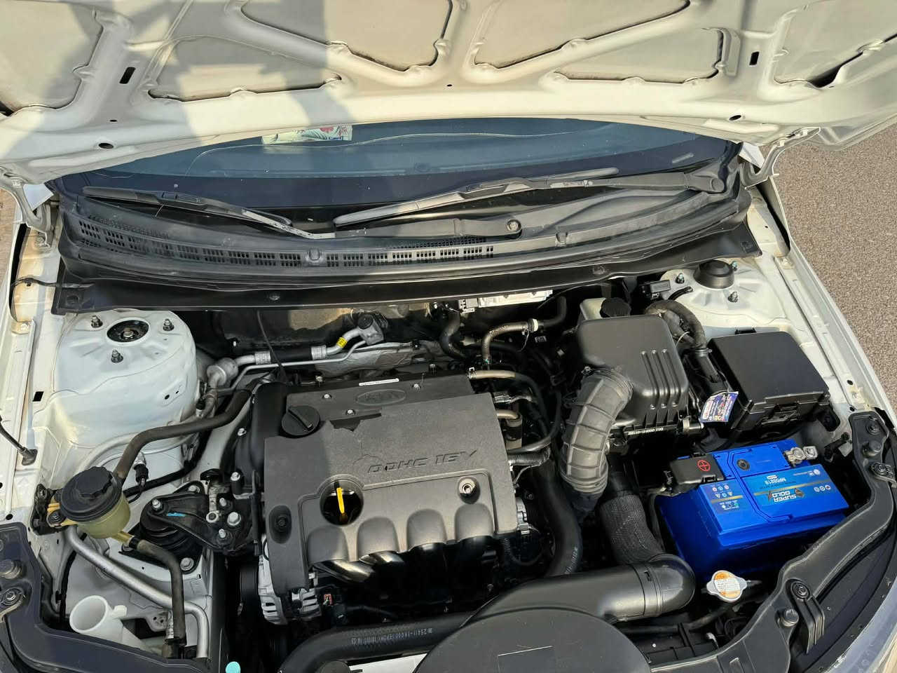 كيا سيراتو ٢٠١١ خليجي 

سياره كلين بدون صبغ  (ماشيه ٢٥٥ ) مواصفات مرايه شفت فوليوم ABS حساس خلفي مكينه وكير بالشرط  سنويه منتهيه تحويل وكاله بشرط مع دفتر بنزين  
 
  سعر ١٠٢ كركوك, العراق


**إذا كنت صاحب هذا الإعلان وتريد حذفه لأي سبب، رجاءا أرسل رسالة إلى الدعم الفني**