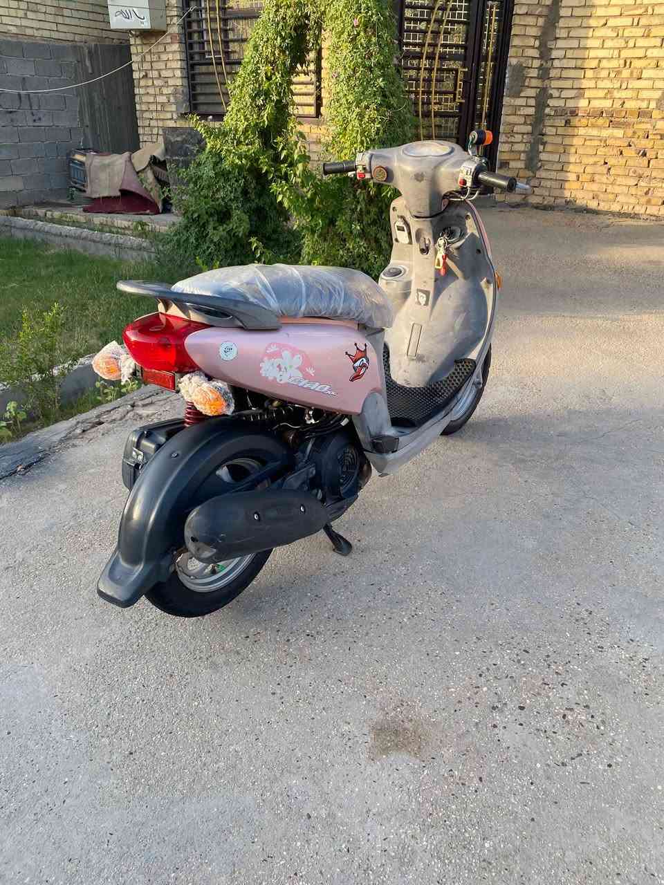 إسلام عليكم دراجه فله للبيع ادراجه ما ناقصه اي شي كفاله عامه ما مفتوحه الدراجه ول مكان حله ورديه داخل ول سعر مستعجل عله بيعته خاص وهذه رقمي ‭ ***********‬
