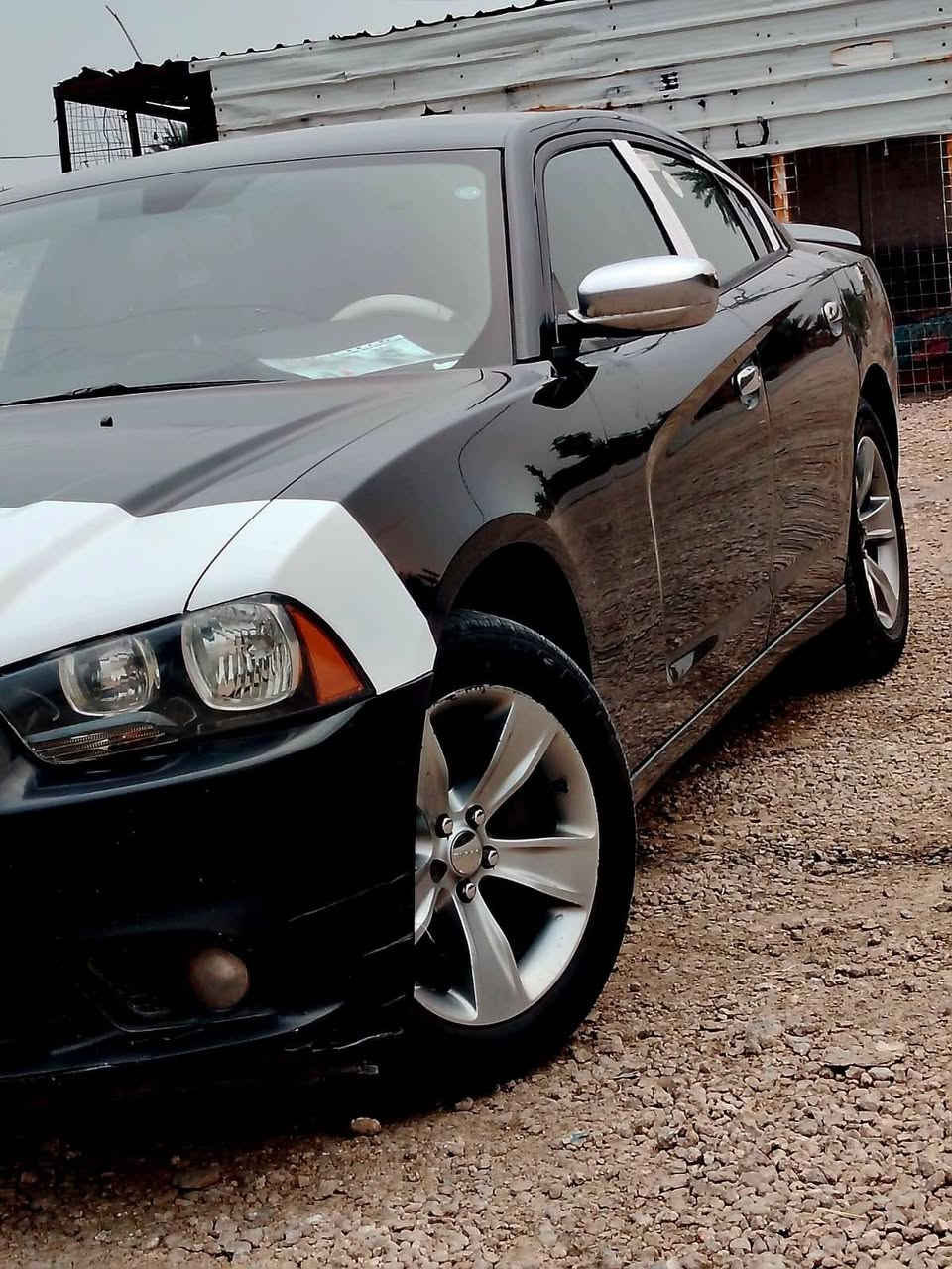 السلا عليكم جارجر 11 الي يدور جديد ونضيف . السياره جاهزه كير مكينه حداديه تخم تاير. تبريد جاهزه نضيفه رقم شمالي .سليمانيه تحويل وكاله حاضر.   سنويه جديده . رقم جديد السياره كفاله عامه عده قطعه وحده صبغ . الباب الخلف السائق . صبغ . فقط . شرط السونار . مكان بابل حله. *********** . .
