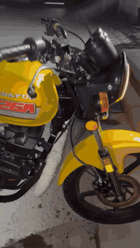 السلام عليكم دايون نفخ معرض البغدادي موديل22طالعه ب23دراجه نضيفه مرقم كربلاء سنويه تخلص29سعرهة2100وبيها مجال للشراي الرقم ***********(متواجد خاص)
