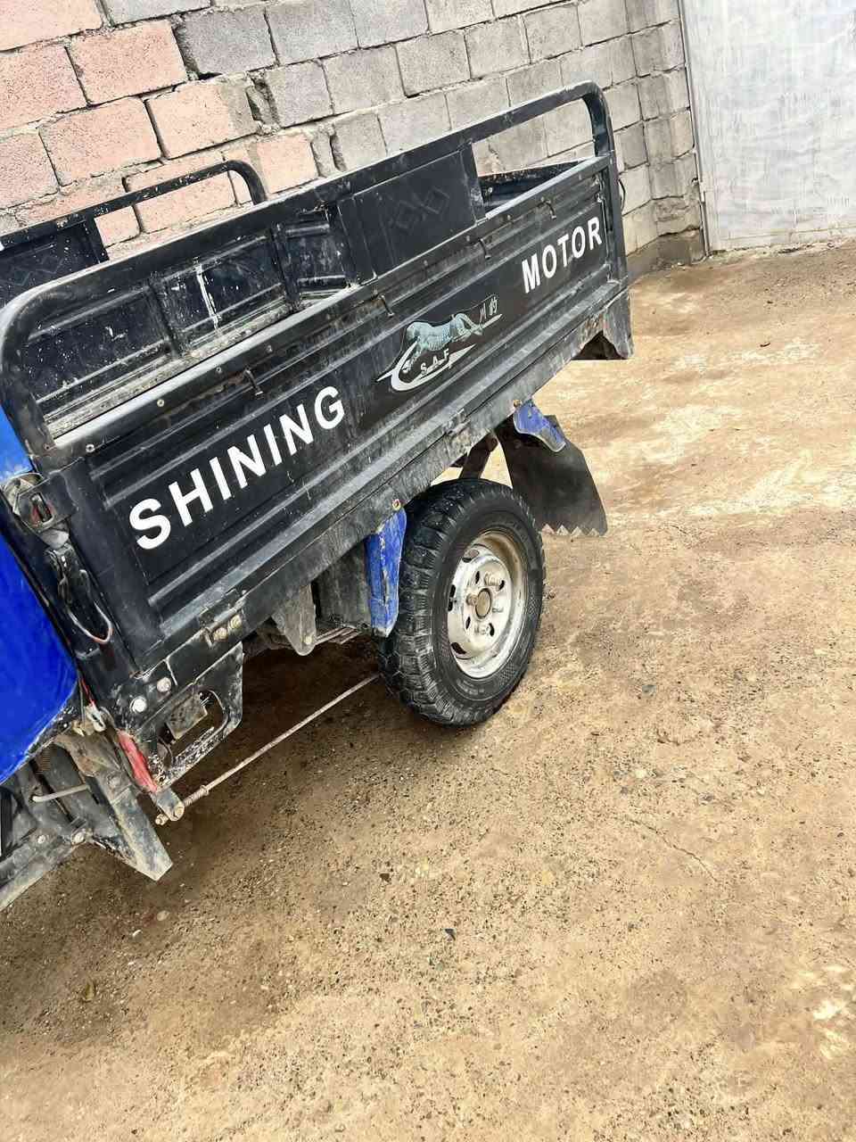 متاح ستوته لبيع فحل موديل 20وراق كامل مكمل لي ريده اني بخدمته ***********
