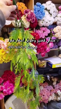 متدلي • جملة • توصيل