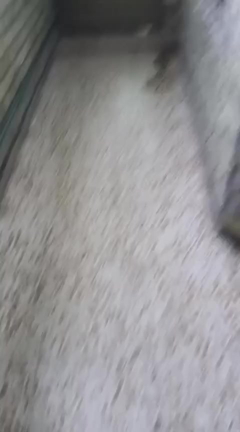 سلام عليكم بيت للبيع مساحه ٦٧ متر طابقين مكان شعله شارع الغربي فرع سكله حيدر تميمي دوانم رقم ***********
