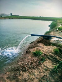 للبيع مساحة 210 دونم طابو ملك صرف الدونم 8 مليون ماجره بالموسم ب35 ملي...