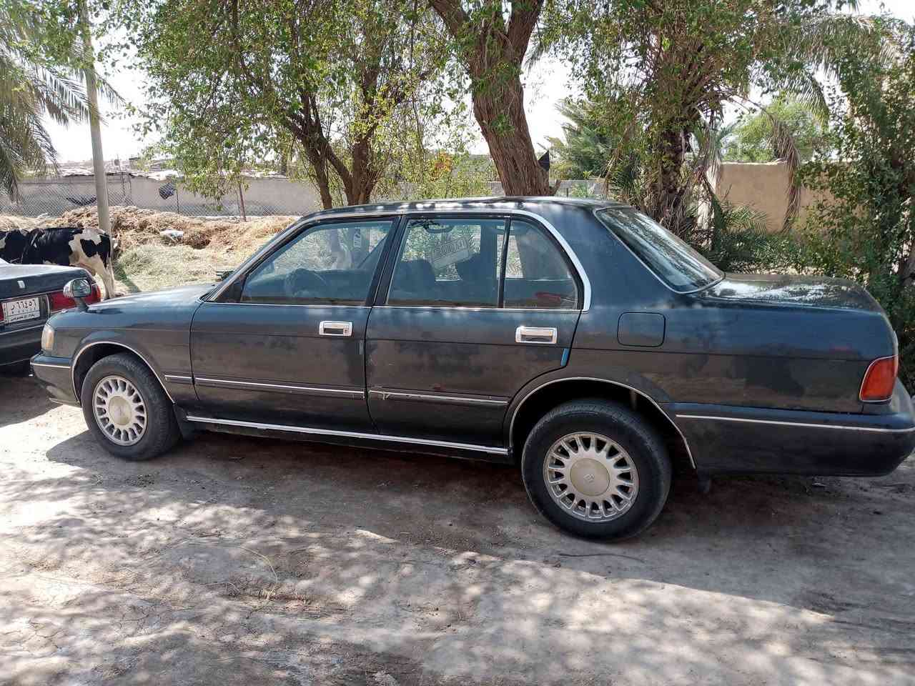 سلام عليكم
للبيع ارنب طويل موديل 95مكينه وكير ففتي كفاله رقم بغداد بسمي سنويه نافذه تحويل ثاني يوم السعر 45وبيها مجال بسيط مكان ذي قار قضاء النصر اي استفسار اتصل ع رقم ***********
