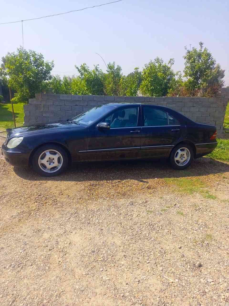 قواصه للبيع موديل 2000 سنويه عضم عاج مشروع وطني كامل مواصفات مراوس او بيع سعر 95
***********
