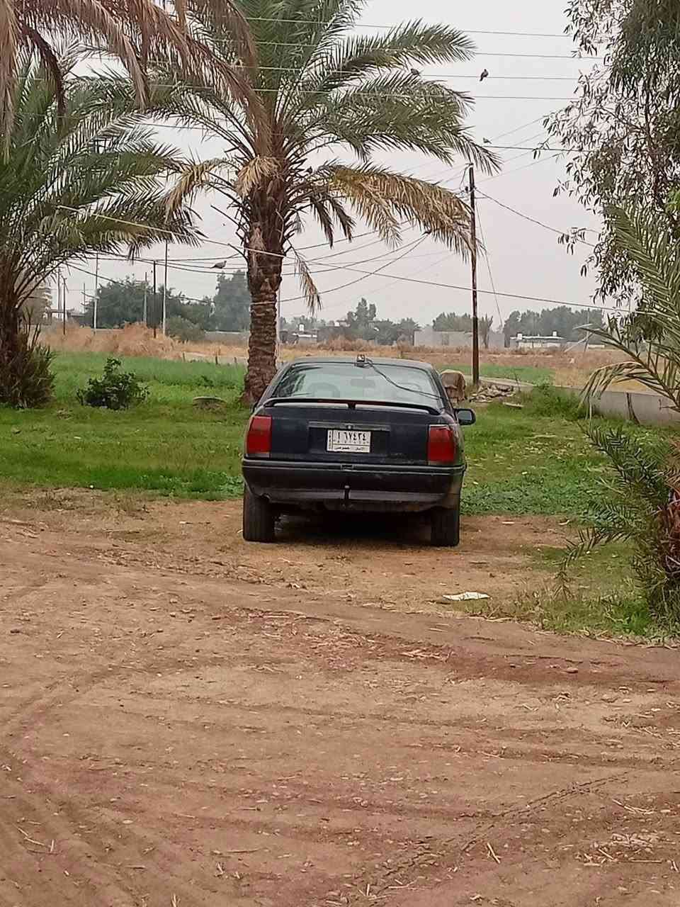 السلام عليكم شباب السياره للبيع موديل 92 السياره حجم 20محرك وكير خير من الله المحرك مشدود جديد لا تنقيص لا بخار  اكسل رقمه انبار  تايرات نضيفه مكانهه بغداد ابو غريب سعر 18ورقه وبيهه مجال 
للاستفسار ***********
***********
