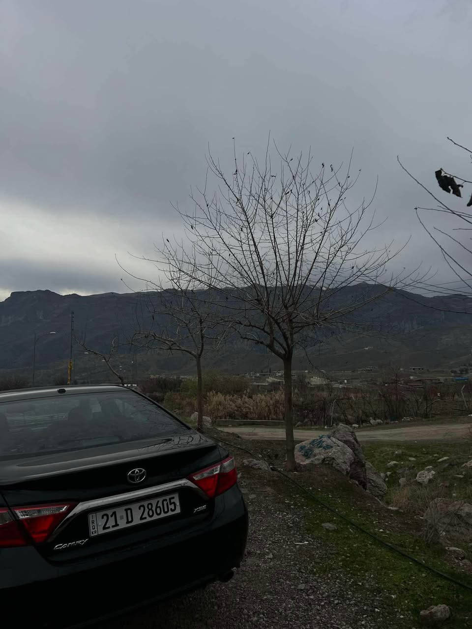 ٢٠١٦ xse فول مواسەفات  ناو سپی ١٨٠ هەزار رۆشتوە بەسمەیە ٤ رادارە  ٢ پارچەی بۆیاخە بی ناو گرتن  کامل سێرفسی بۆ کراوە  هەتا لە نزیکەوە نەیبینی نازانی چۆنە ئەو جۆرە مواسەفاتە کەمە بانسو رۆتو دەبڵو شەمعی گۆراوە السليمانية, العراق


**إذا كنت صاحب هذا الإعلان وتريد حذفه لأي سبب، رجاءا أرسل رسالة إلى الدعم الفني**