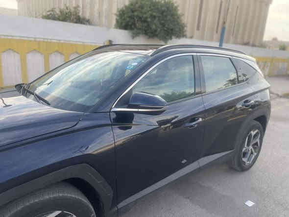 فول الفول هايبرد ٢٠٢٣ للبيع *********** قطعه واحده صبغ بنيد
