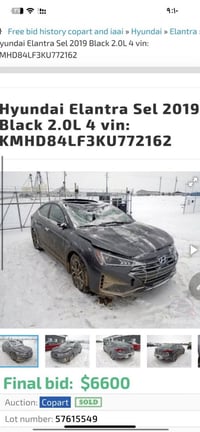 النترا • ٢٠١٩ • وارد امريكي