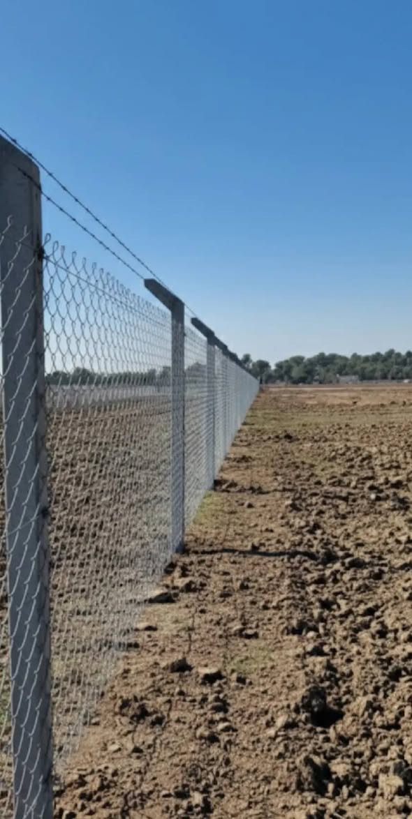 ‎علي‎ حلة, بابل
