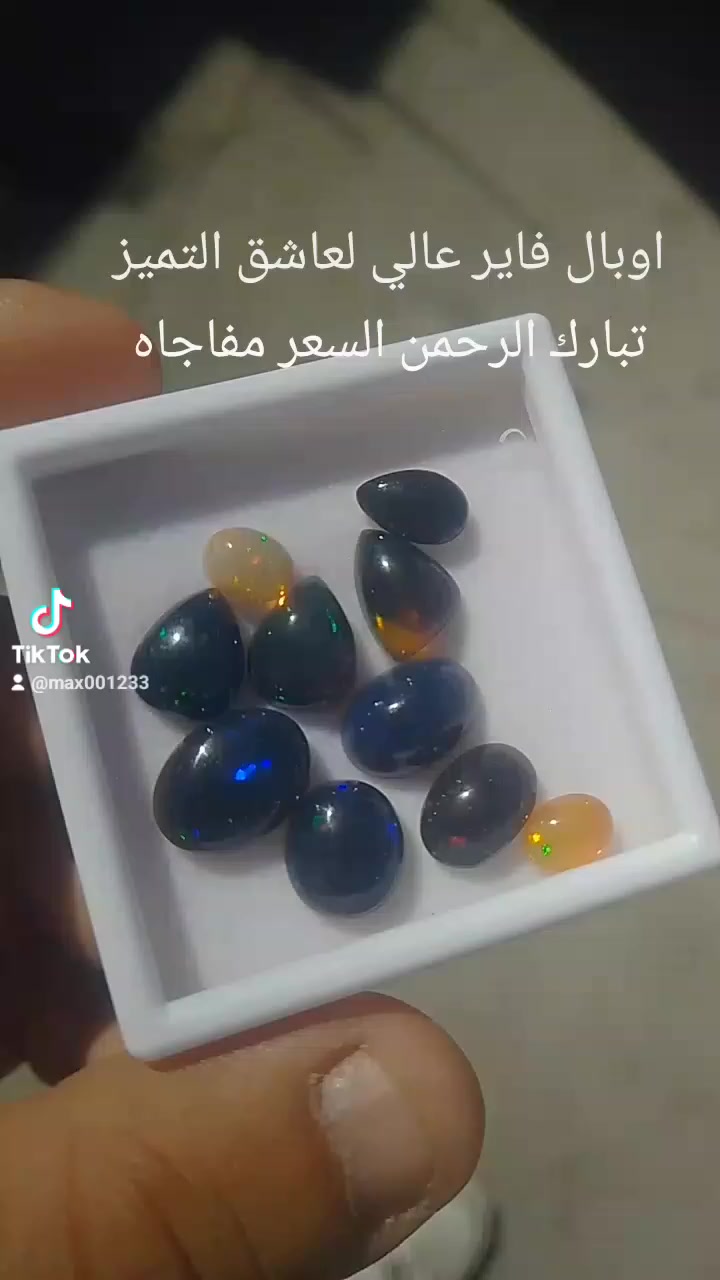 اوبال فاير عالي لعاشق التميز تبارك الرحمن السعر مفاجاه


**إذا كنت صاحب هذا الإعلان وتريد حذفه لأي سبب، رجاءا أرسل رسالة إلى الدعم الفني**