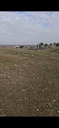 القوسيات • جمعية ام الربيعين • مقاطعه ٢٣٤