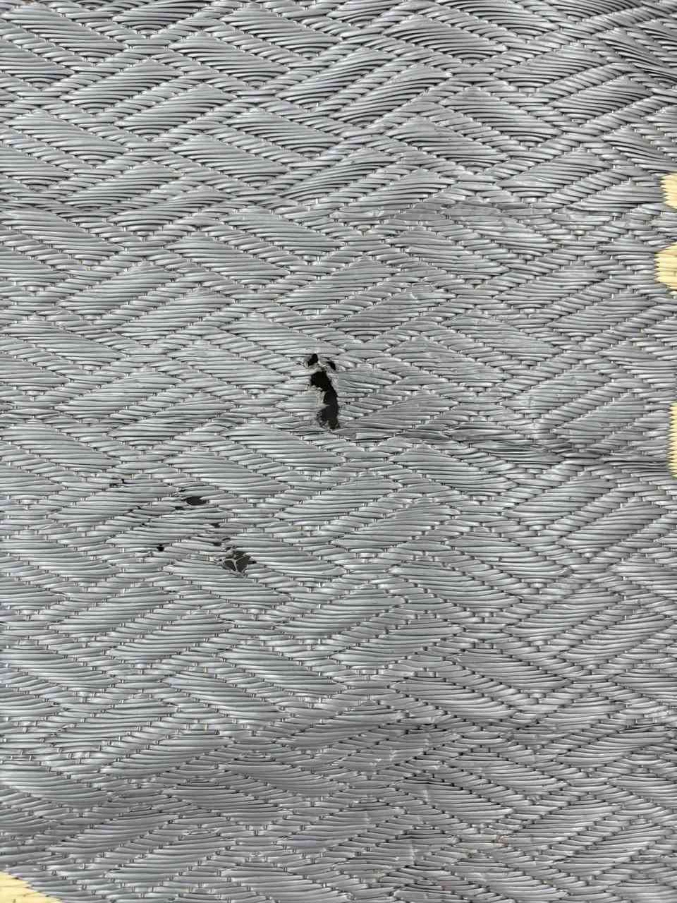 بنات حصيره والله ماخذتها ب٣٥ فرشناهاً شي بسيط كلش يمكن اسبوعين بالزايد وكعّ عليها مال جكارهً شي بسيط نريدها ب١٥ لان دنشيل 
اما ضهرها مبينً بيهً الحركً فانتوً لازمً تفرشوهاً ع وجهةً هذاً متكلبوهاً


**إذا كنت صاحب هذا الإعلان وتريد حذفه لأي سبب، رجاءا أرسل رسالة إلى الدعم الفني**