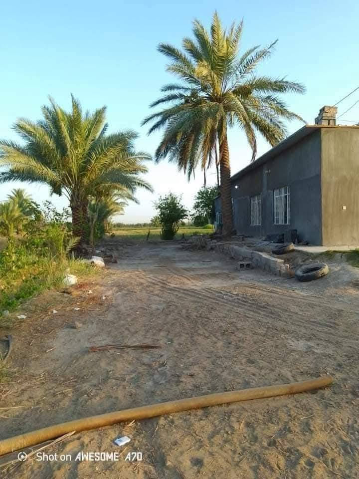 السلام عليكم للبيع دونم مع بيت تبعد عن التبليط 200 متر  المكان فرع المصلخ للاستفسار الاتصال على الرقم ***********
