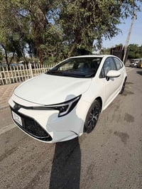 سلا عليكم كورله 2024 فقط بانزين مكفوله كفاله عامه رقم اربيل باسمي تحوي...
