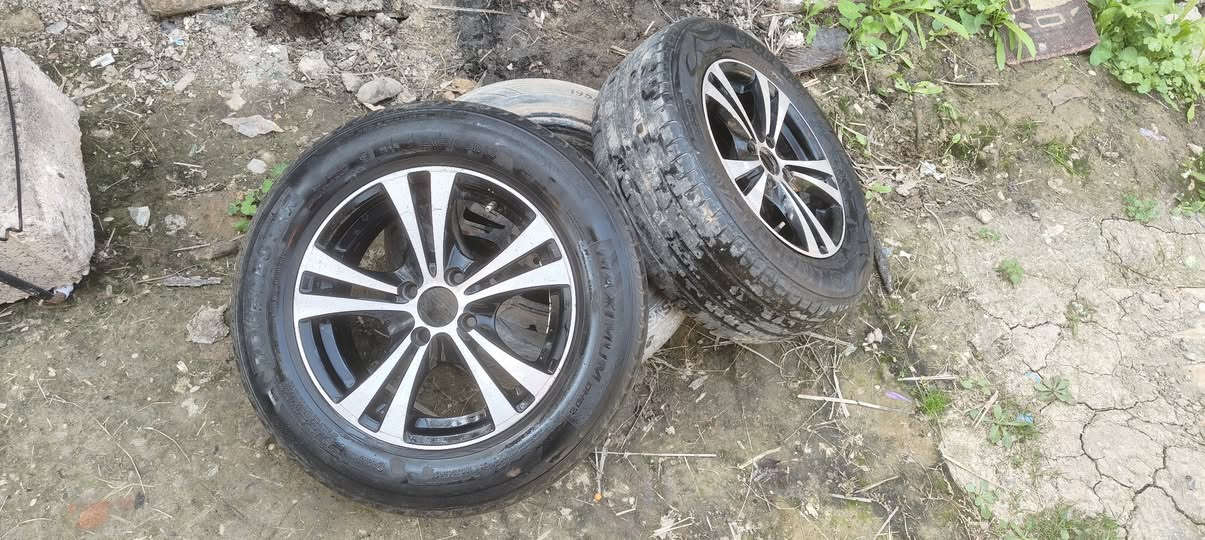 تخم ويل ٤ ستد حجم ١٥  للبيع
***********
