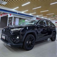 راف4 هايبرد • ٢٠٢٥ • ٠ كم