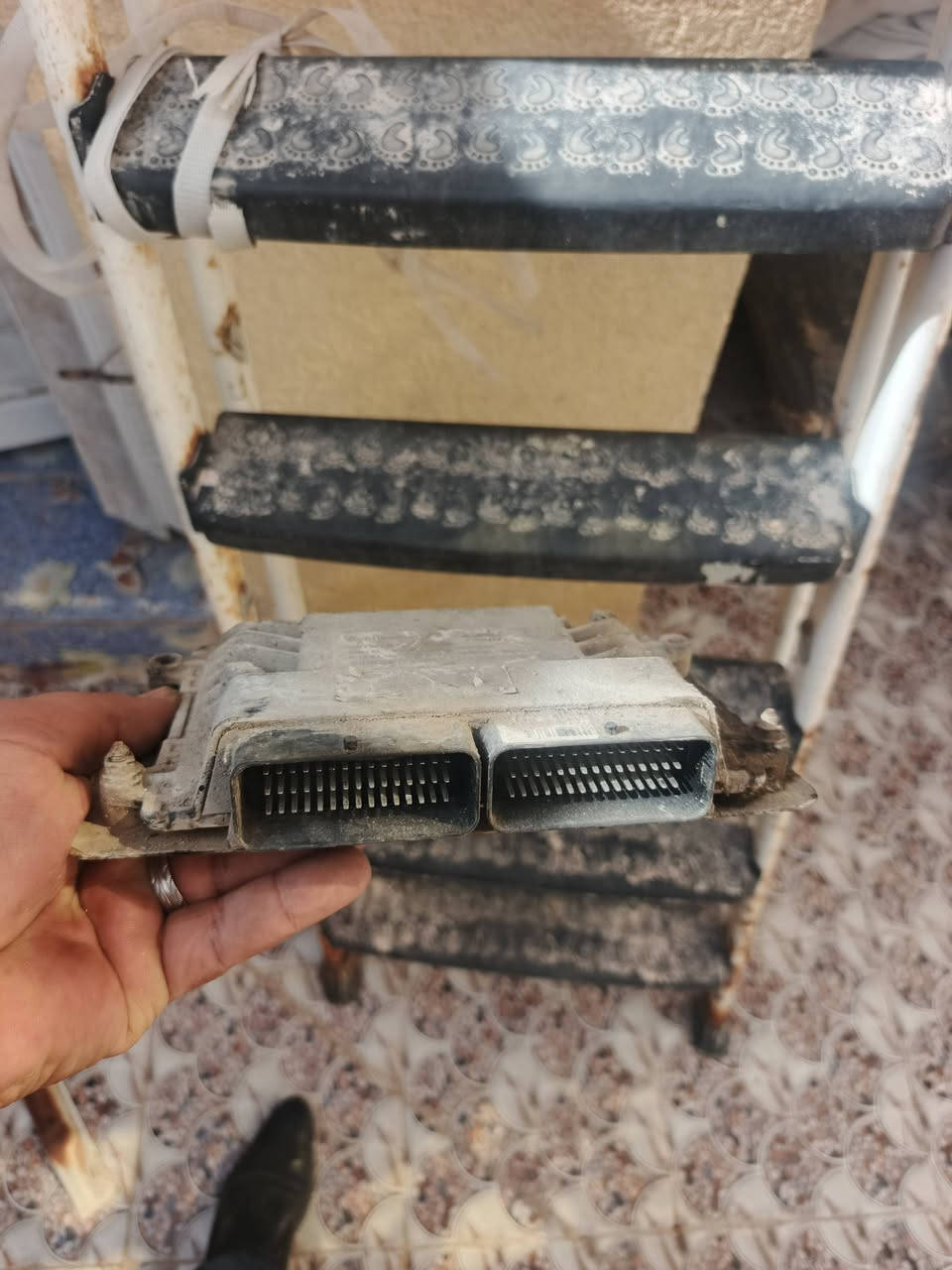 متاح سله بيجو سمند +عقل بيجو أبي الخصيب ***********
