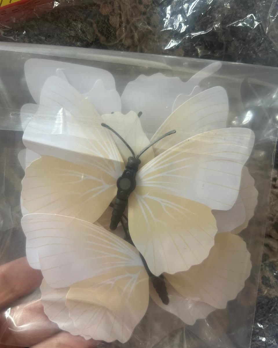 لوازم الهاند ميد متوفرة
عنوان المحل 
بسماية مدخل B 
توصيل الف داخل بسماية
بغداد والمحافظات ٥٠٠٠


**إذا كنت صاحب هذا الإعلان وتريد حذفه لأي سبب، رجاءا أرسل رسالة إلى الدعم الفني**