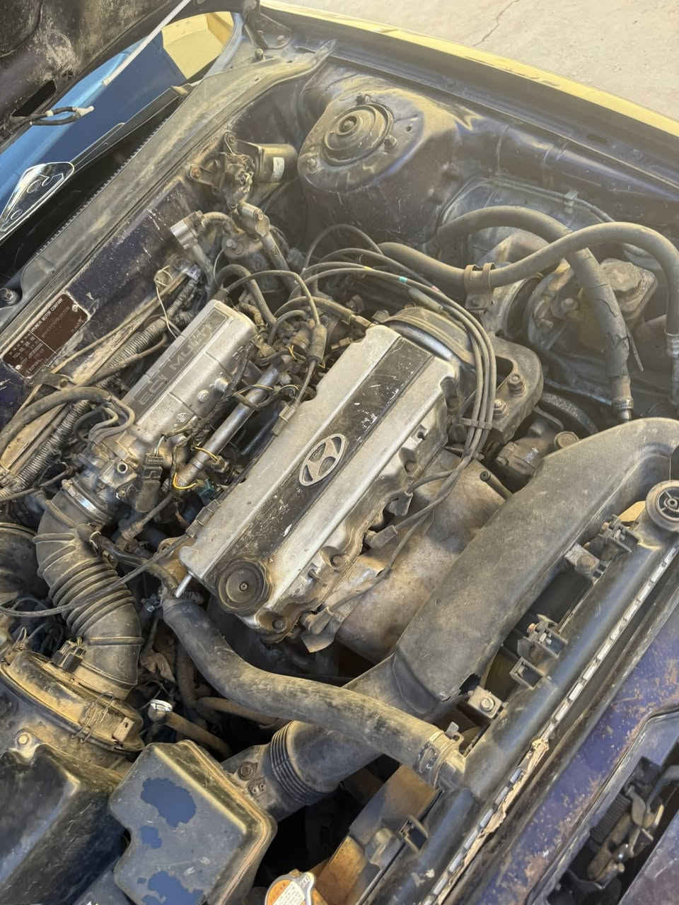 سوناتا2
موديل 1994
كير اوتماتيك ميكانيك جديد
مكينه حاويه قبل فتره شديتها 
سنويه ساقطه قبل سنتين 
مصبوغه عام اثر جراد 
بدون ضربه
كهربائيات جام شغال 
طوافه شغال 
43 وبيها مجال 
اي ستفسار اتصل ***********
