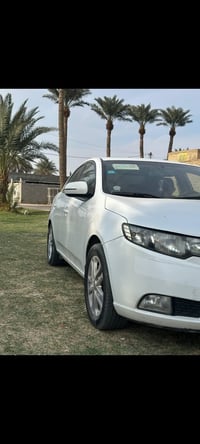 سيراتو خليجي • مكفوله • رقم بصره