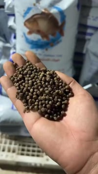 تم بعون الله وصول اعلاف اسماك ايراني طائف   (( شركة  اتلانتيك  )).  جم...