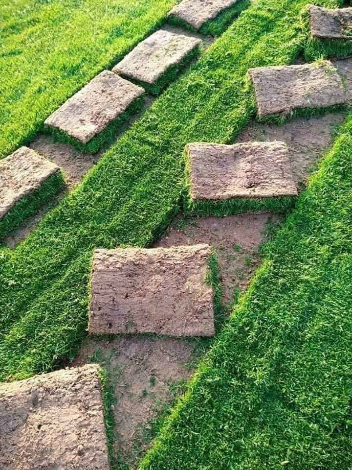 يوجد لدينا كافه انواع الثيل الطبيعي
🎄هندي🎄 
🎋فرنسي🎋 
🎄إيطالي 🎄
🎍إنكليزي🎍 
🎄أمريكي🎋 

انتاج خاص بمزارعنا
حيث الجودة والسعر المناسب 

☘ثيل طبيعي نوعية ممتازة🍀 مناسب للاستخدام في ( المنازل🌳_ الحدائق🌳_ الملاعب🌳_ الدوائر🌿) 

#انتاج_خاص #شكل_مثالي  #سعر_تنافسي

✨ سعر المتر يختلف للكميات ✨

يوجد خدمة توصيل لجميع محافظات العراق 
ملاحظة : التوصيل مجاني ❤️

- تتوفر لدنيا كل انواع الثيل وباسعار تنافسية

للحجز والاستفسار يرجى الاتصال على الرقم ادناه 
***********                     
تحياتي للجميع
