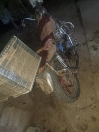 شغاله • نمره الثانيه • ٢٠٠