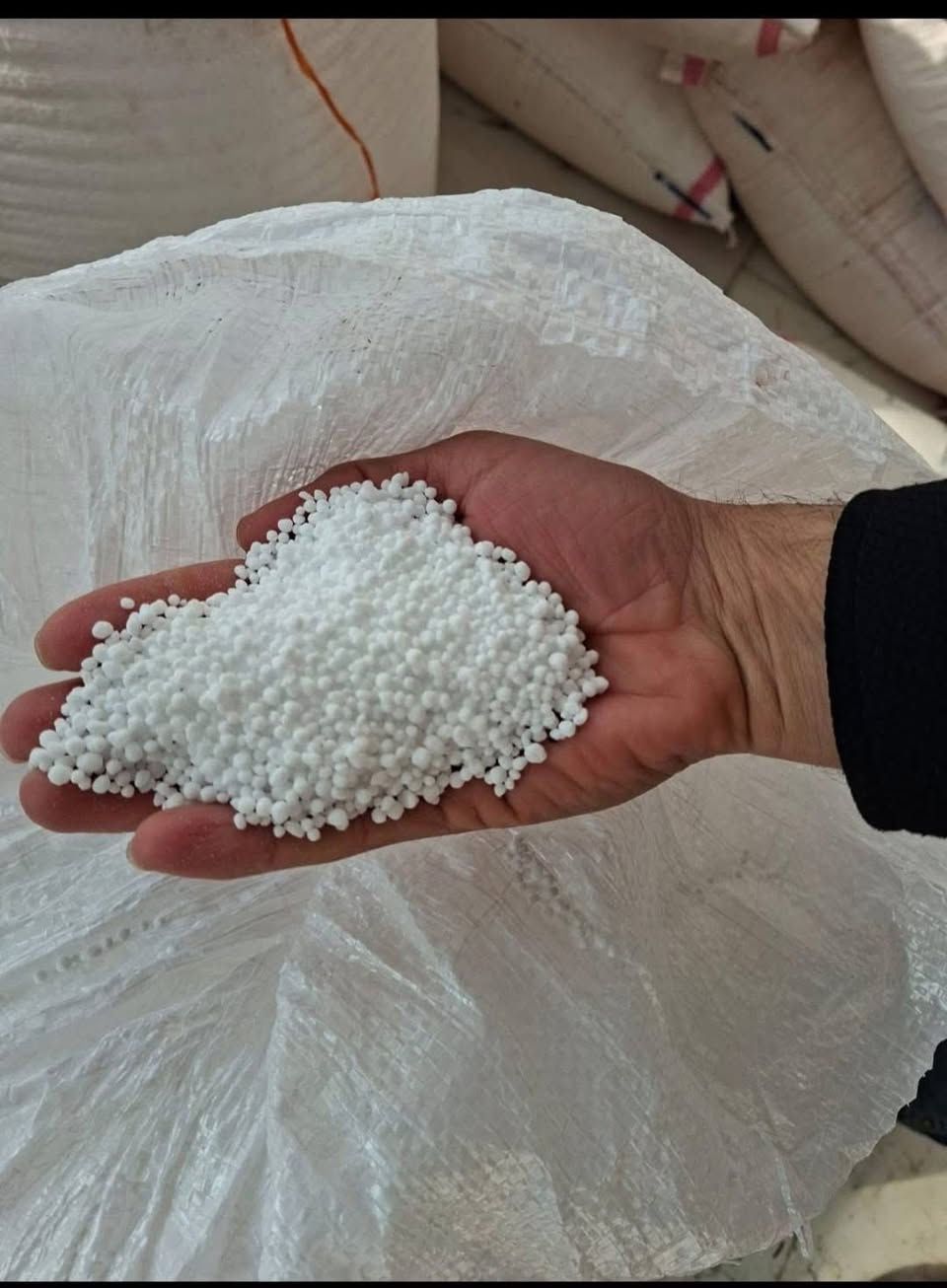 على بركة الله تعالى يعلن مكتب المياحي عن توفر كميات كبيره من السماد الايراني الاصلي كرمنشاه الاصلي ابو الحاسبه وليس المقلد المعبأ السلفات من بعض النفوس الضعيفه وايضا توفر سماد عراقي محبب درجه اولى توصيل مجاني 
***********
***********
المكان / النجف الاشرف
ملاحضه/على اخوتنا المزارعين واصحاب المحلات فحص المواد بدقه وخاصتا الايراني الكرمنشاه هنالك طرق غش كثيره والشراء من مصدر الثقه 🌹🌹
