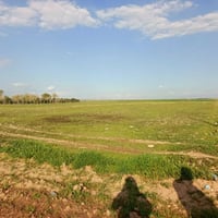 صلاح آغا • ٥دونم • أرض