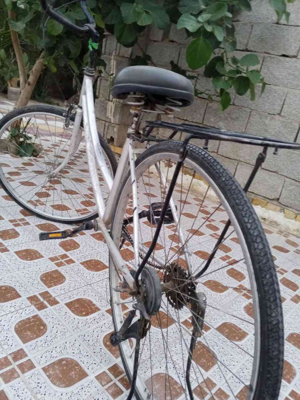 سلام عليكم  بيسكل للبيع حجم 26سعر خاص


**إذا كنت صاحب هذا الإعلان وتريد حذفه لأي سبب، رجاءا أرسل رسالة إلى الدعم الفني**