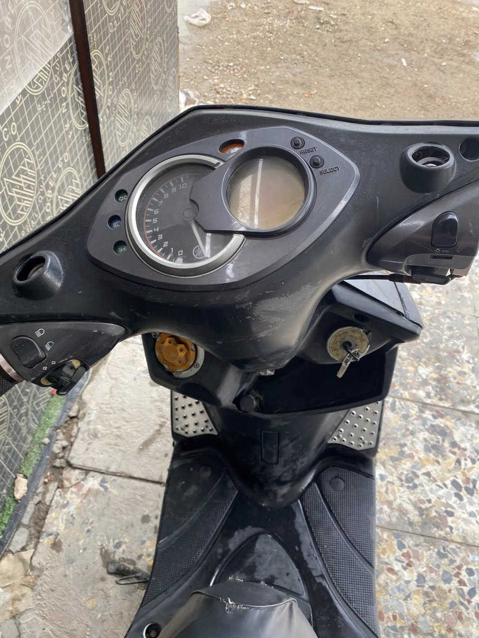 سكنس فحل للبيع ***********
