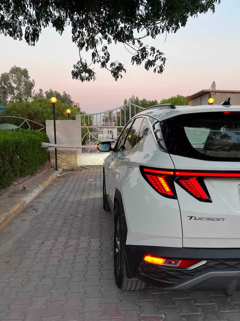 توسان ٢٢ خليجي ماخذهة بأيدي من الشركة زيرو حتى كتلوكات الشركة بعدهة بيهة 
كفالة عامة من كل النواحي مكينه كير تبريد تخم تاير صدر حداديه كلشي جاهز بيهة  رقم بغداد بأسمي 
موصافاتهة :-
 -بصمة
-بصمة ابواب
- تحكم ستيرن  
- ⁠مري ترحيب شفط
- كاري بلي 
- مثبت سرعه
- كامرة خلفية بارك
- تحكم ستيرن
- شحن واير ليس
- ⁠حساسات اماميه خلفيه 
- قطعتين تبريد 
- داخل الونين شاشه جبيره شحن وآيرليس
- ⁠سايد بريك بصمه 
- مري شفط 
- كراسي كهرباء 
- ماشيه ٩٥ الف حقيقي 
- تشغيل عن بعد
- كشنات كهرباء 
- مكان السيارة بغداد / البياع 

🔴السعر ٢٠٠ 
للاستفسار الاتصال او واتساب على هذا الرقم حصراً 
***********
